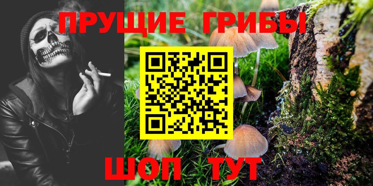 Псилоцибиновые грибы мицелий  Псилоцибиновые грибы прущие грибы  Воронеж  Вход с VPN 